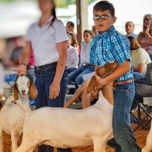 You’ve Goat to be Kidding Me! Introducing Goats to Your Herd Image